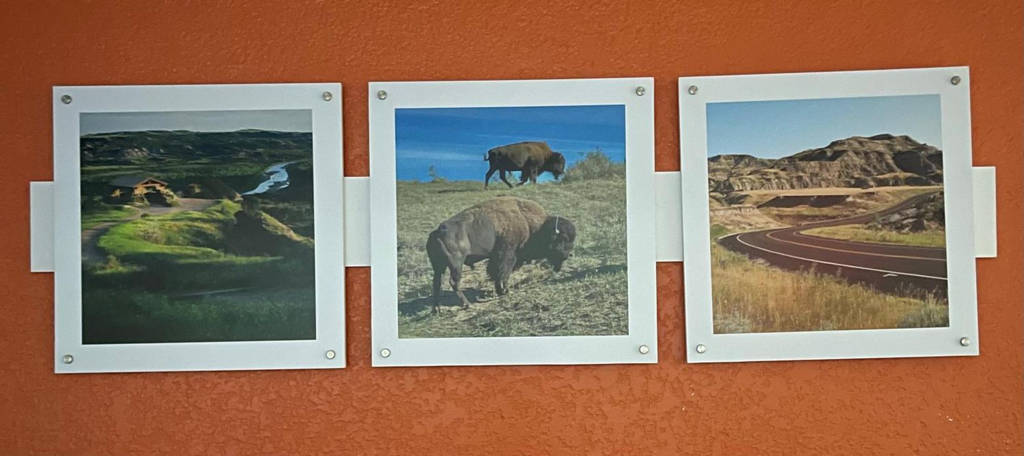 Dakota Inn FargoFargo  Kültér fotó
